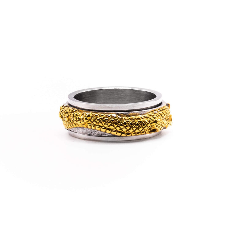 Dragon Spinning Ring